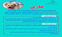 مطالب آموزشی هاری