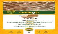 پیامهای پویش ملی اطلاع رسانی تغذیه سالم برای استفاده در رسانه های مختلف